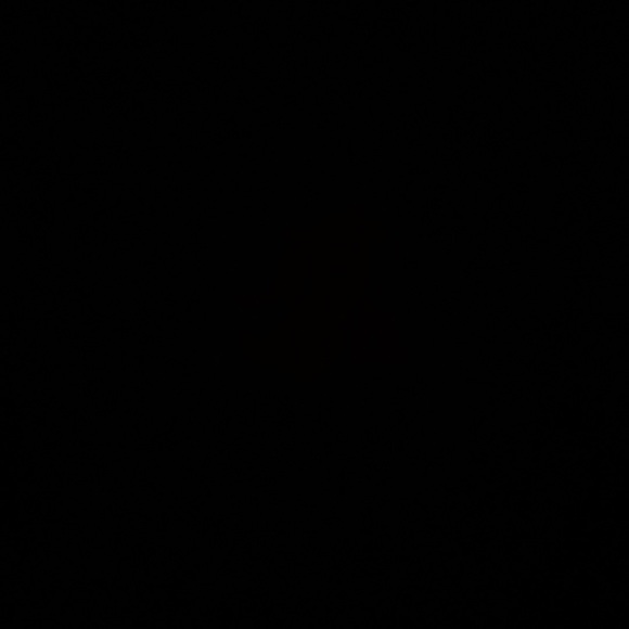 Meet your Posher, Shirley! - Picture 1 of 1